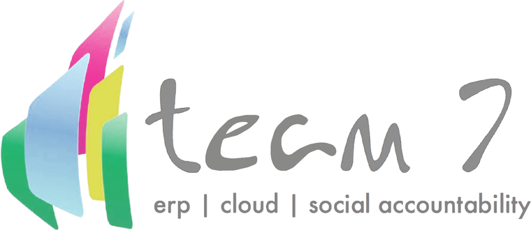 Team 7 Consulting — ERP, cloud, social accountability